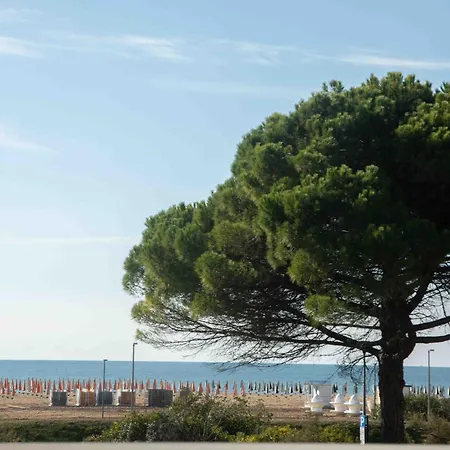 Bia's - Fronte Mare 비비오네