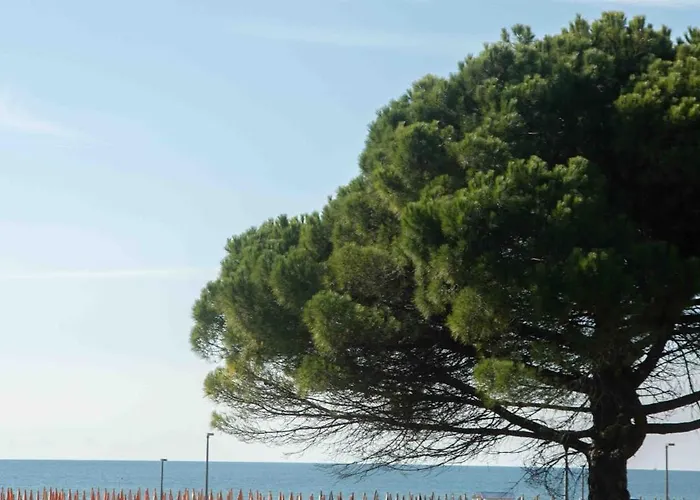 Bia's - Fronte Mare Bibione